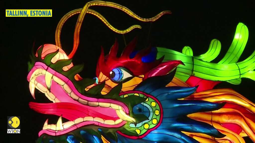 Pandas and dragons light up Estonian Chinese lantern festival