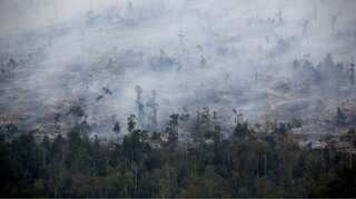 Indonesia forest fires cost $5.2 billion in economic losses: World Bank