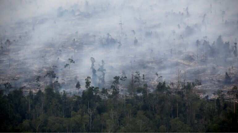 Indonesia forest fires cost $5.2 billion in economic losses: World Bank