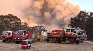 Australia Bushfires emitted 50% of annual CO2 emissions: Report