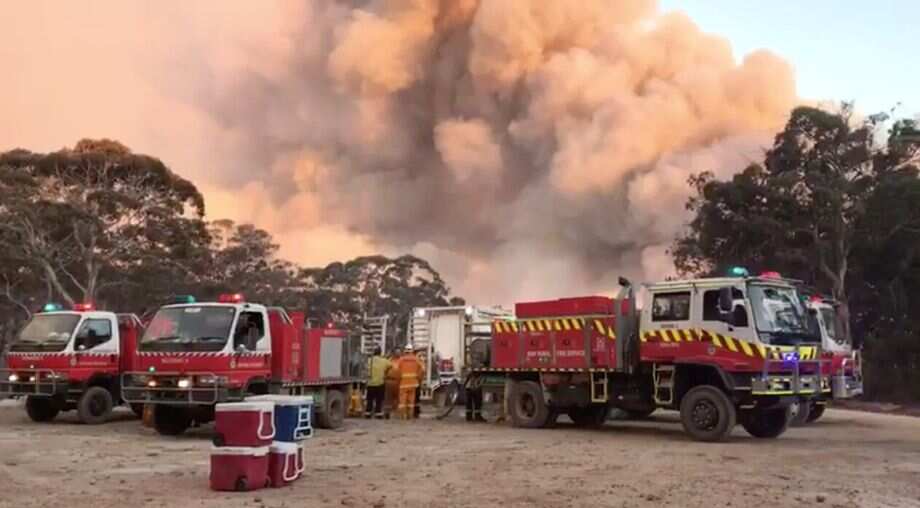 Australia Bushfires emitted 50% of annual CO2 emissions: Report