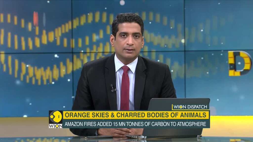 WION Dispatch: 3 million hectares of land burned due to bush fires in Australia