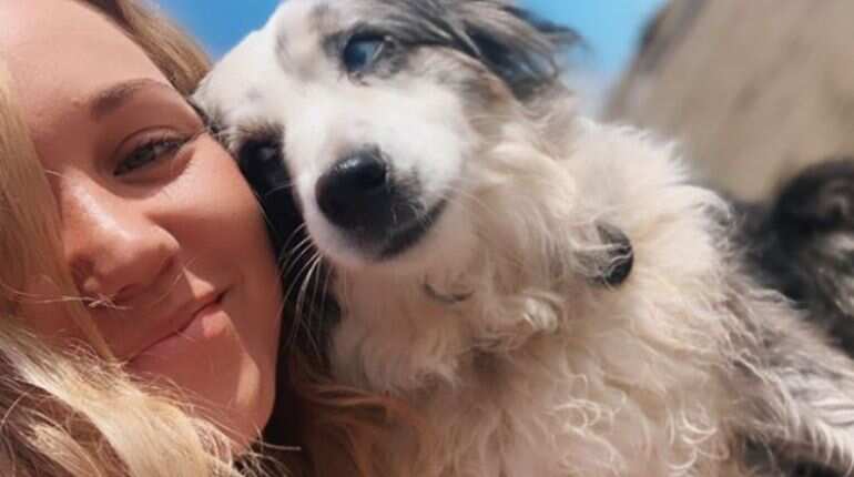 San Francisco woman hires plane, makes website and offers $7000 reward in search of stolen dog