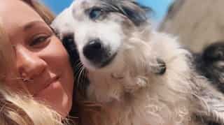 San Francisco woman hires plane, makes website and offers $7000 reward in search of stolen dog