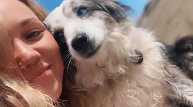 San Francisco woman hires plane, makes website and offers $7000 reward in search of stolen dog