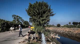 Egypt, Ethiopia, Sudan views closer on Nile dam: Sudanese minister