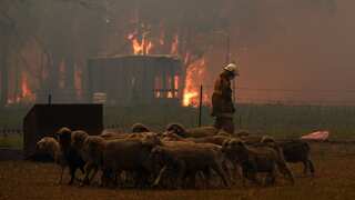 Tourists at risk as heatwave fuels Australia bushfires