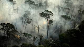 Meet climate change's latest offering to Earth - 'Zombie wildfires'
