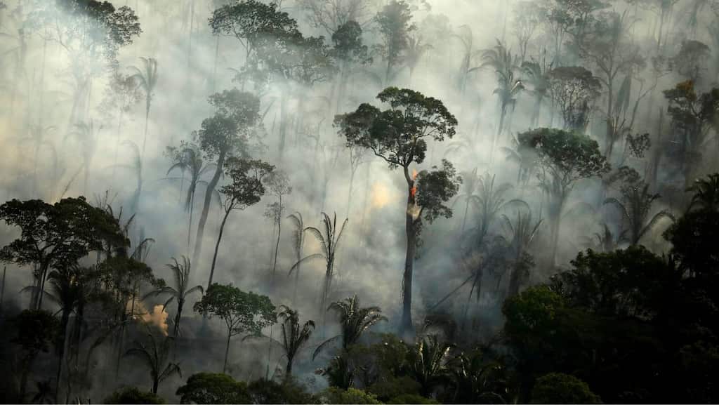 Meet climate change's latest offering to Earth - 'Zombie wildfires'