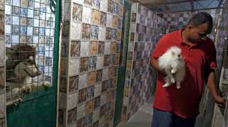 Jordan embraces their love for dogs, years after declaring holy war against them