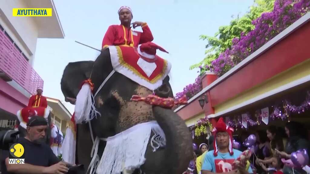 Elephants spread Christmas cheer at Thai school