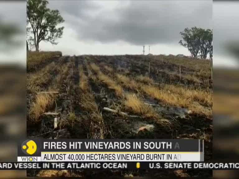 Australia: Almost 40,000 hectares vineyard burnt in Adelaide hills