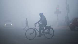 Dense fog likely in UP, Rajasthan, parts of Northeast during next two days: IMD