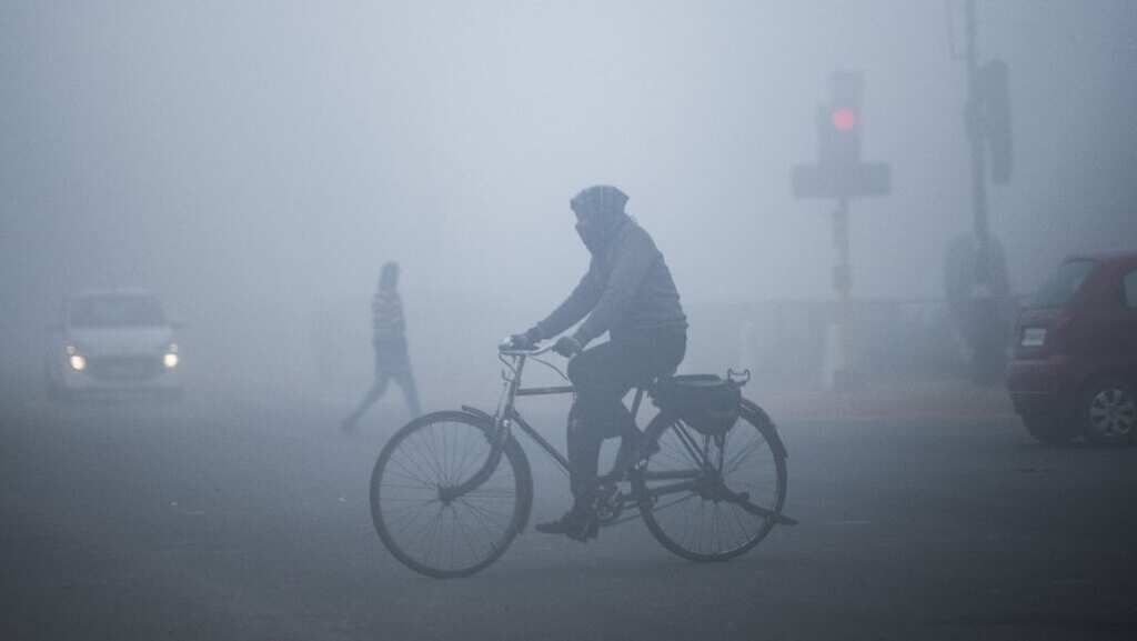 Dense fog likely in UP, Rajasthan, parts of Northeast during next two days: IMD