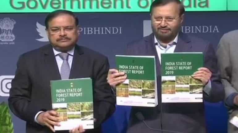 India's forest covers increased by 13,000 sq km in past four years: Prakash Javadekar
