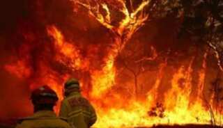 Australia bushfires: Three feared dead as thousands trapped on burning beach