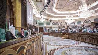 No call taken by Organisation of Islamic Cooperation on foreign minister meet on Kashmir/CAA yet