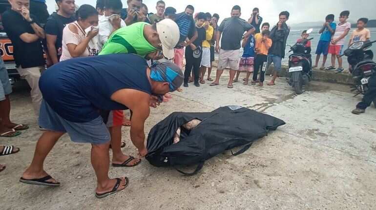Death toll from Philippines typhoon hits 50 Death toll from Philippines typhoon hits 50