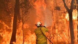 As the wild forests burn across the world, firefighters fight occupational hazards on a daily basis
