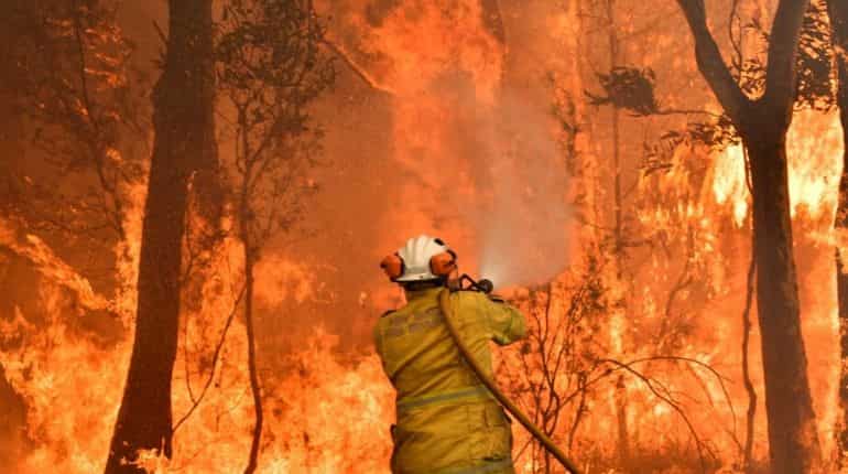 As the wild forests burn across the world, firefighters fight occupational hazards on a daily basis
