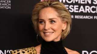 Sharon Stone sued for damages in alleged 2023 car crash; asked to pay over $35,000