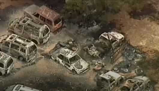 Smoke in Australia bushfire 'larger than area of EU', says scientist