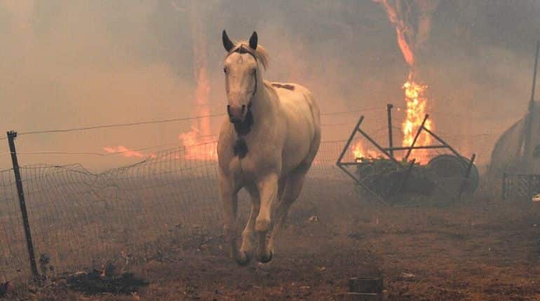 Making sense of Australia’s bushfire crisis means asking hard questions – and listening to the answers Making sense of Australia’s bushfire crisis means asking hard questions – and listening to the answers