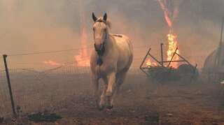 Making sense of Australia’s bushfire crisis means asking hard questions – and listening to the answers