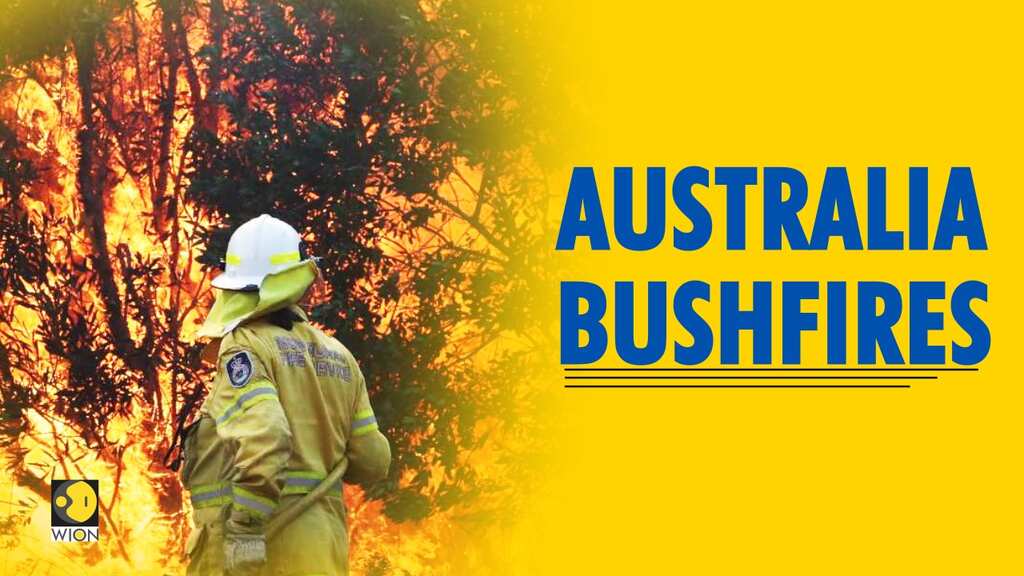 Australia bushfires: Over 4,000 people trapped in Mallacoota beaches