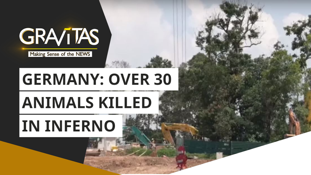 Gravitas: Germany zoo tragedy: Over 30 animals killed in inferno