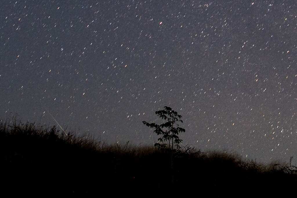 2020 Quadrantids meteor shower, First meteor shower of 2020, watch the meteor shower