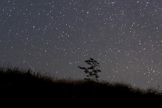 Quadrantids meteor shower peaks soon: Here's when you can see them