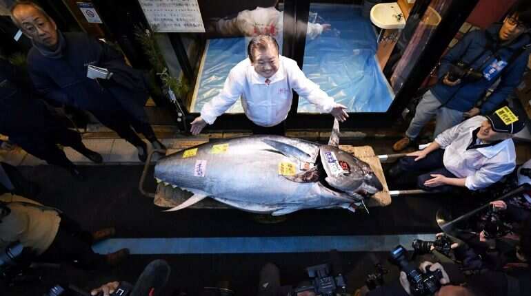 Tuna sells for $1.8 million in first Tokyo auction of 2020, second highest ever Tuna sells for $1.8 million in first Tokyo auction of 2020, second highest ever