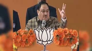 Inclusion of dalits in Ram Temple Trust emphasises social harmony: JP Nadda