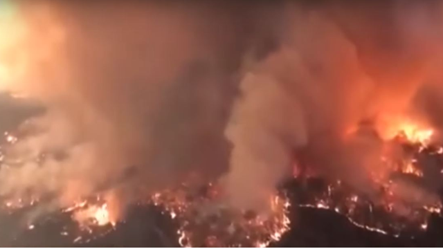 Australia Bushfires: Scott Morrison announces new recovery agency