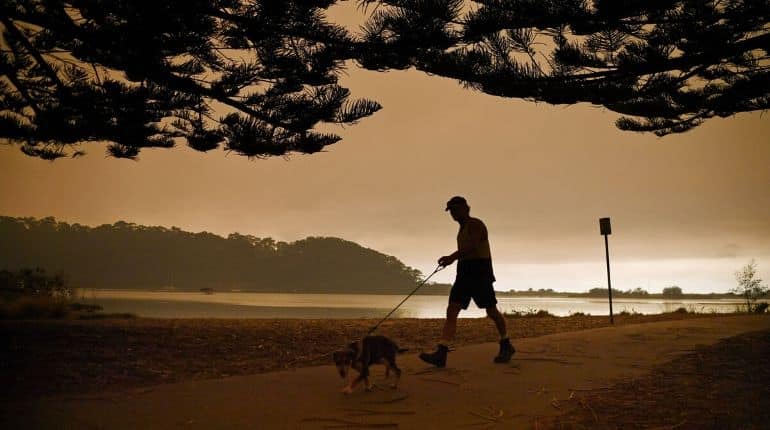 Australia bushfires update: Authorities race to reopen blocked roads, evacuate people
