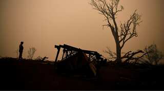 'Everything's just gone, we’ve got nothing': Australian bushfire victim