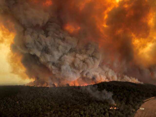 Australia: Fire in NSW leaves more than 2,000 homes damaged