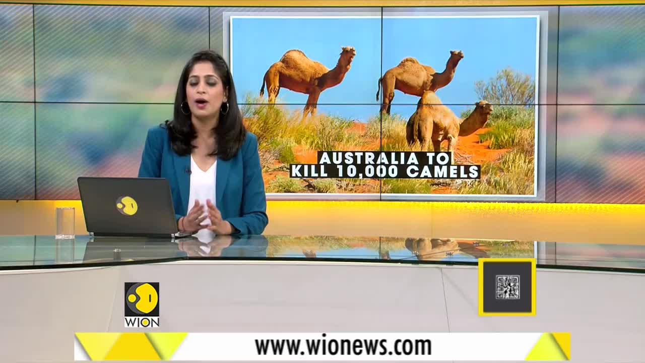 WionNews Video