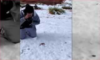 Snow in Saudi Arabia? Locals share pictures, videos of snow-blanketed Tabuk 