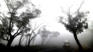 Rain offers hope in Australian bushfire fight