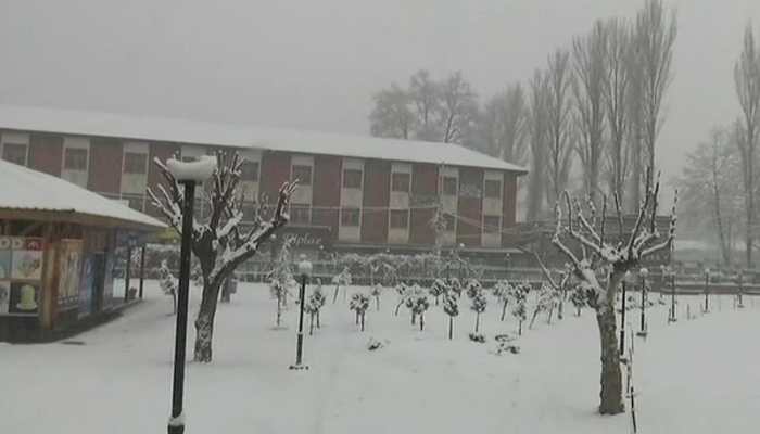 Fresh snowfall in Srinagar, traffic disrupted
