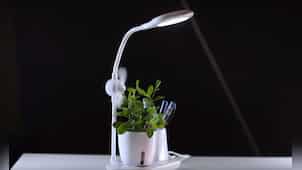 Xech Growstation: Hit or miss? | Tech It Out