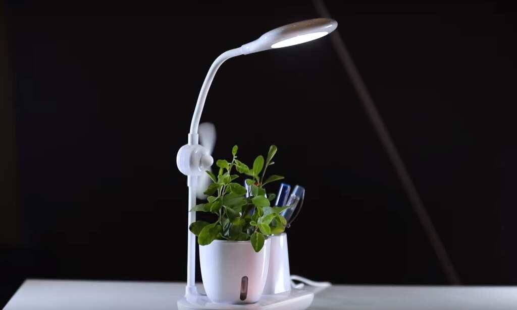 Xech Growstation: Hit or miss? | Tech It Out