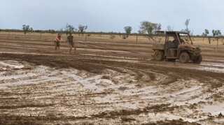Heavy rains dampened bushfires on Australia's east coast