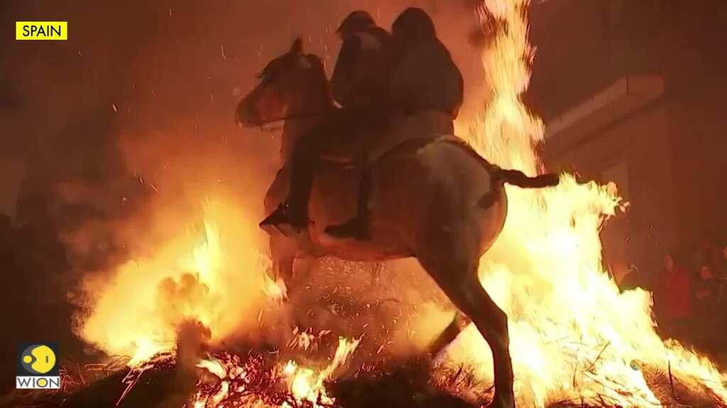 Horses 'purified' by leaping over flames at Spain's Luminarias festival