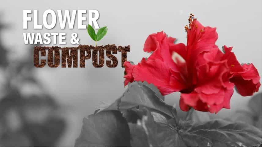International Flower Day: Flower, Waste & Compost - The Journey