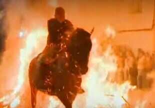 Horses 'purified' by leaping over flames at Spain's Luminarias festival
