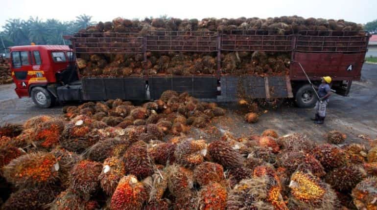 India allows some refined palm olein imports from Nepal amid restrictions: Report India allows some refined palm olein imports from Nepal amid restrictions: Report