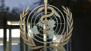 WHO says 'hypothesis' about cause of China's latest virus outbreak needs further testing